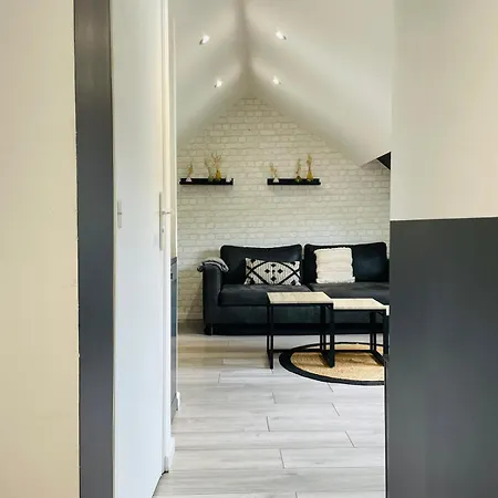 Un Cocon Spacieux Et Soigneusement Decore - 457